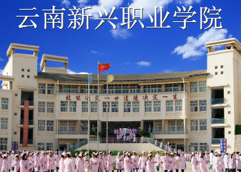 云南新兴职业学院2019年中专招生计划
